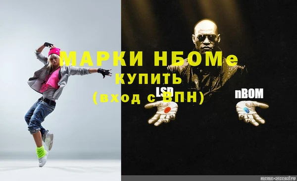 прущие грибы Алзамай