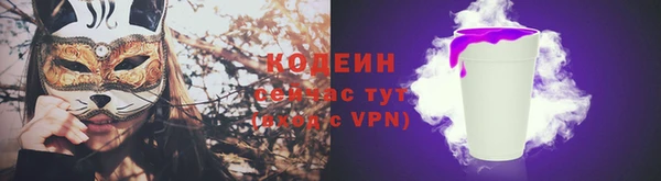 прущие грибы Алзамай