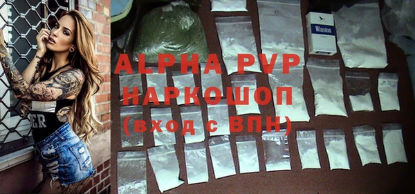 прущие грибы Алзамай