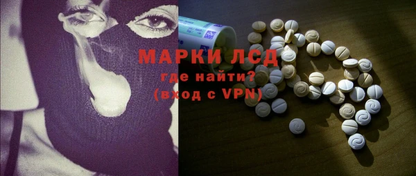 прущие грибы Алзамай